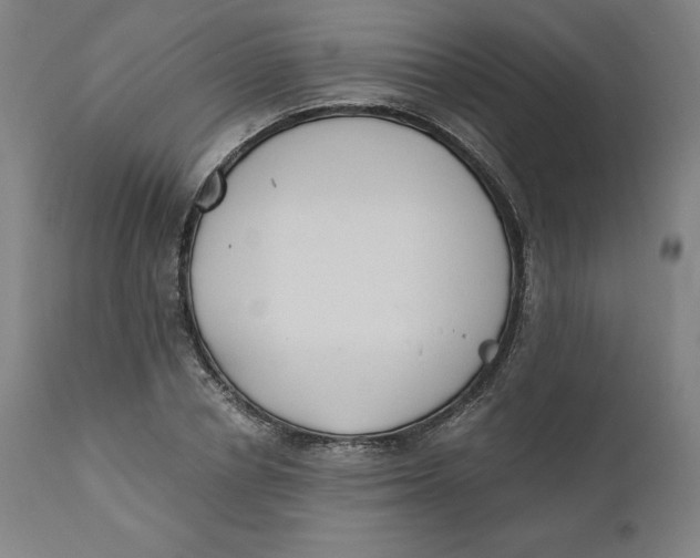 X0000110690834200907021931