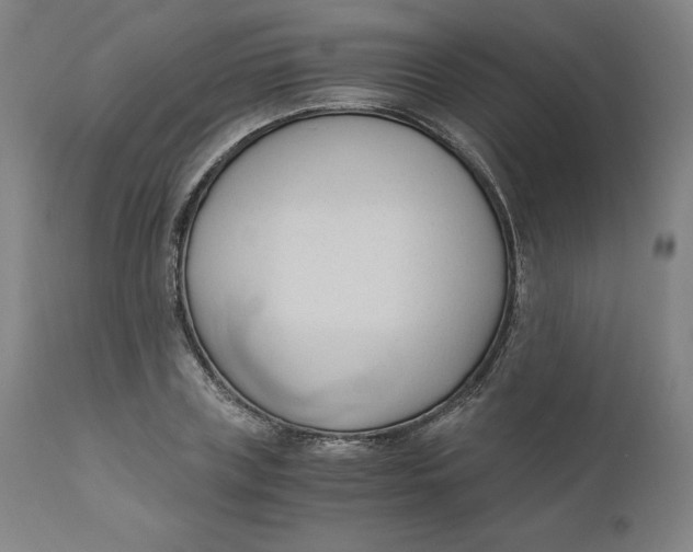 X0000110690835200907021931