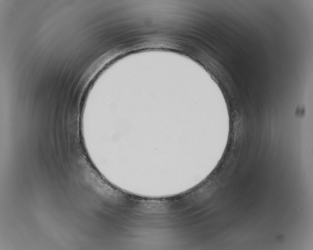 X0000110690836200907021931