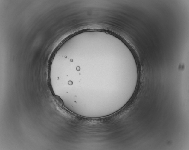 X0000110690837200907021931