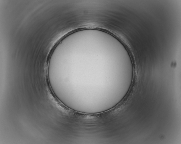 X0000110690839200907021931