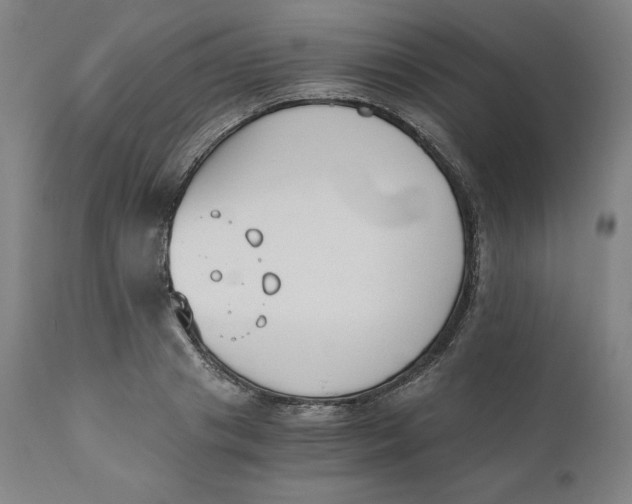 X0000110690841200907021931