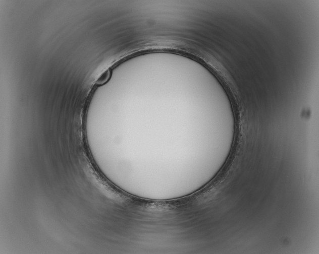 X0000110690842200907021931