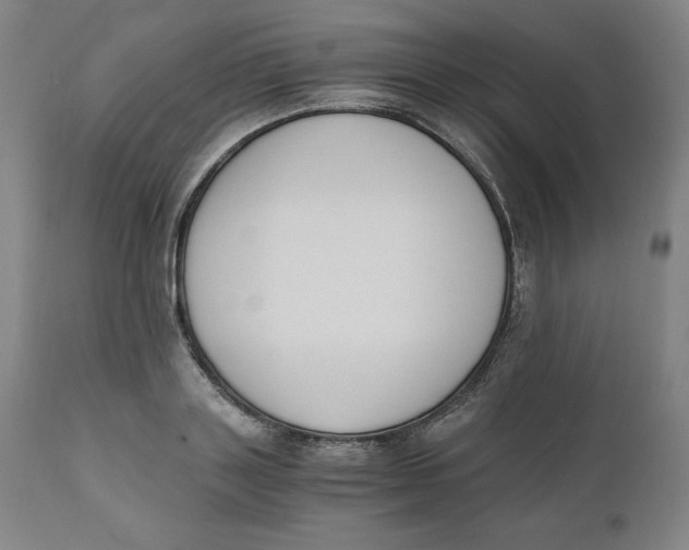 X0000110690843200907021931