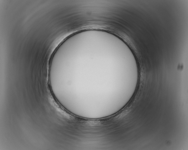 X0000110690844200907021931