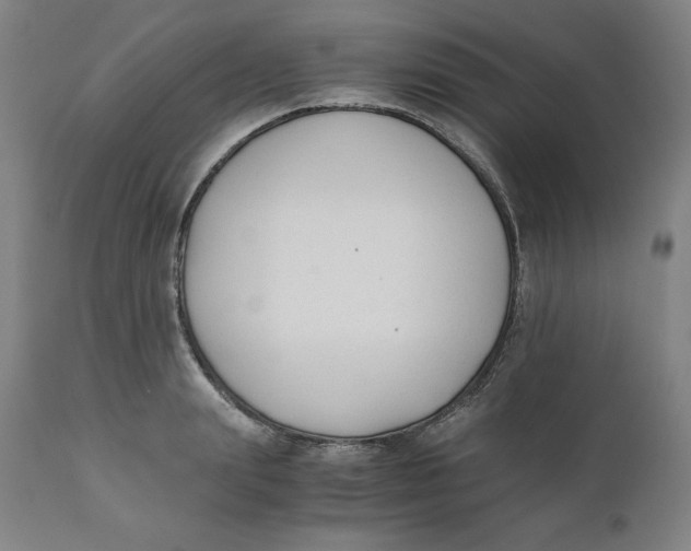 X0000110690847200907021931