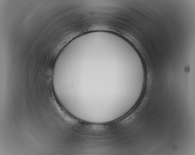 X0000110690849200907021931