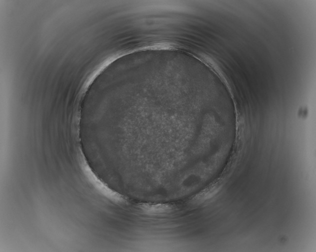 X0000110690851200907021931