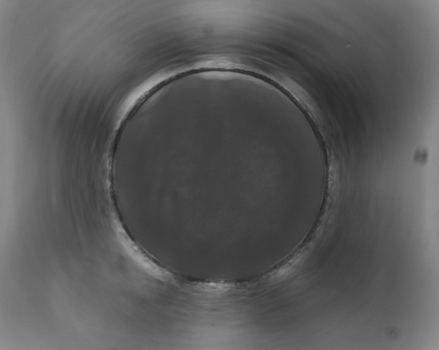 X0000110690854200907021932