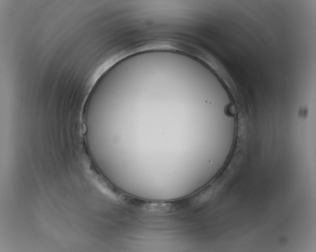 X0000110690858200907021932