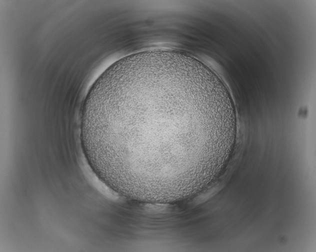 X0000110690859200907021932