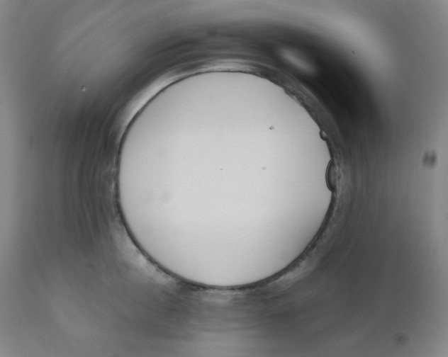 X0000110690860200907021932