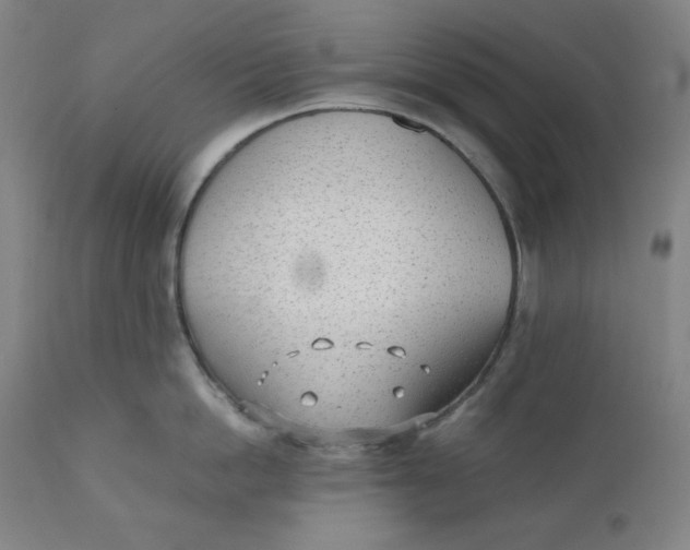 X0000110690862200907021932