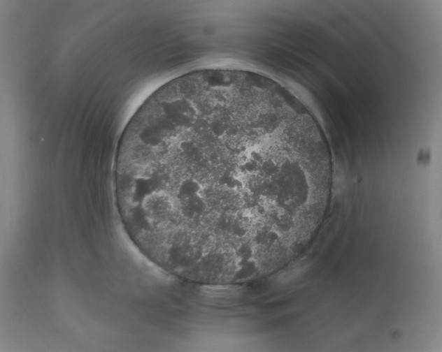 X0000110690863200907021932