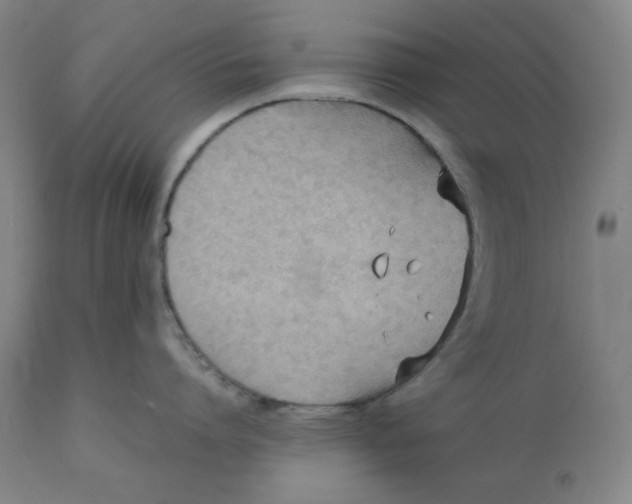 X0000110690864200907021932