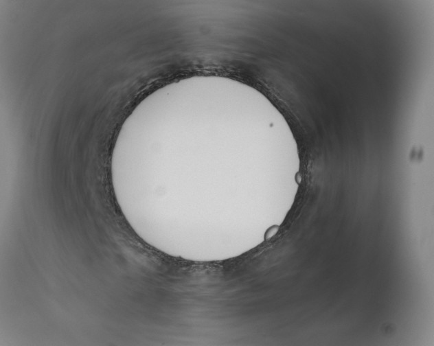 X0000110690865200907021931