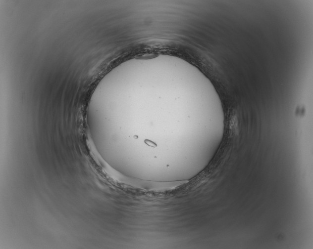 X0000110690868200907021931