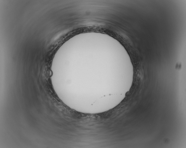 X0000110690869200907021931