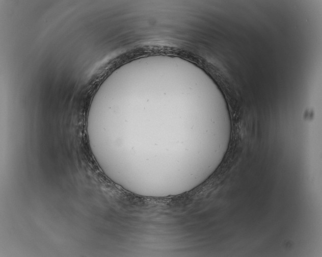 X0000110690870200907021931