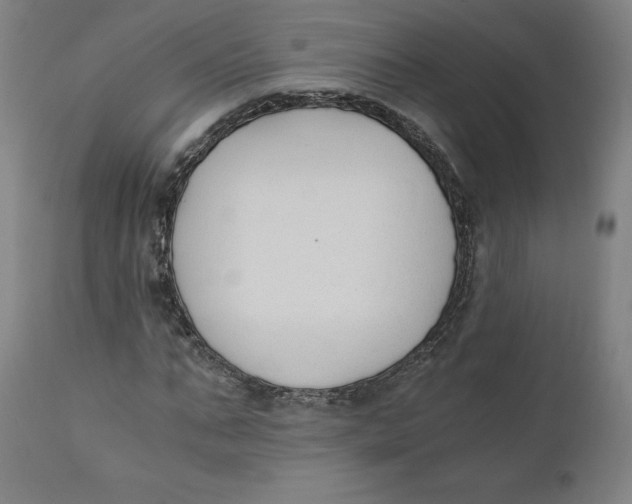 X0000110690871200907021931