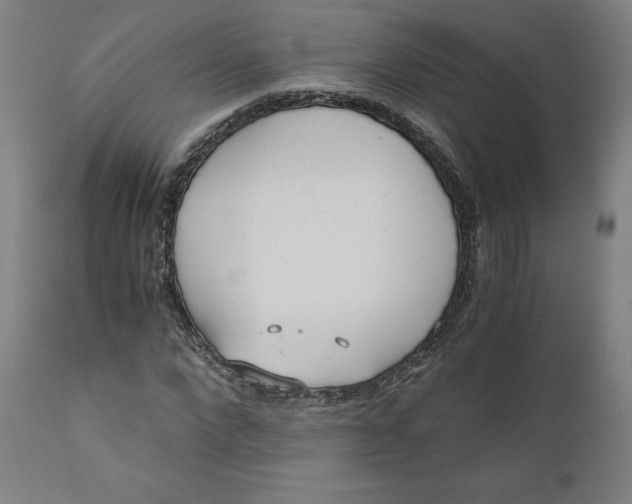 X0000110690872200907021931