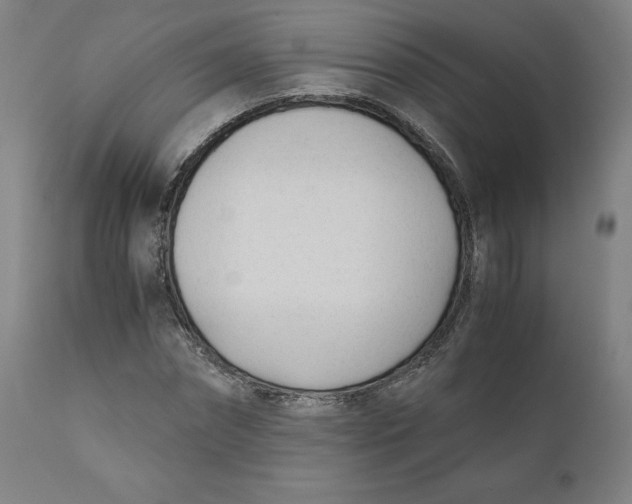 X0000110690874200907021931