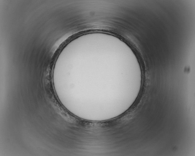 X0000110690875200907021931