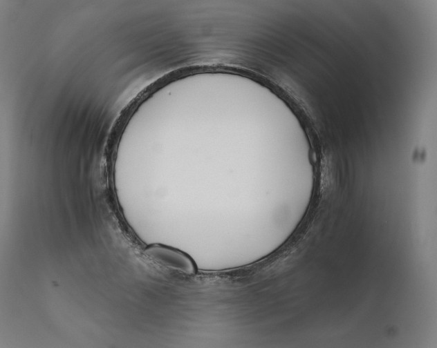 X0000110690876200907021931