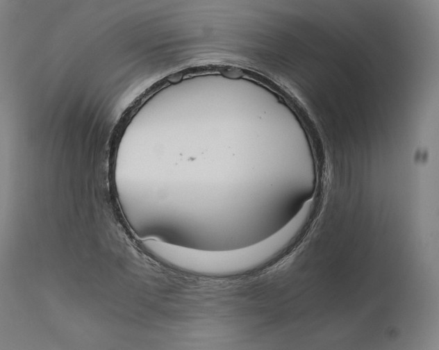 X0000110690877200907021931