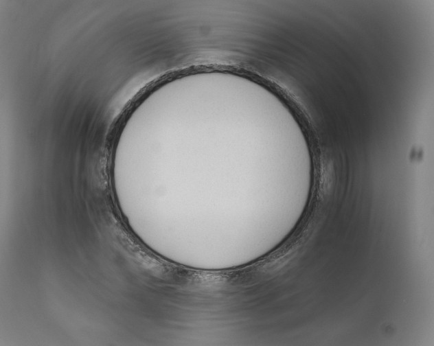 X0000110690878200907021931