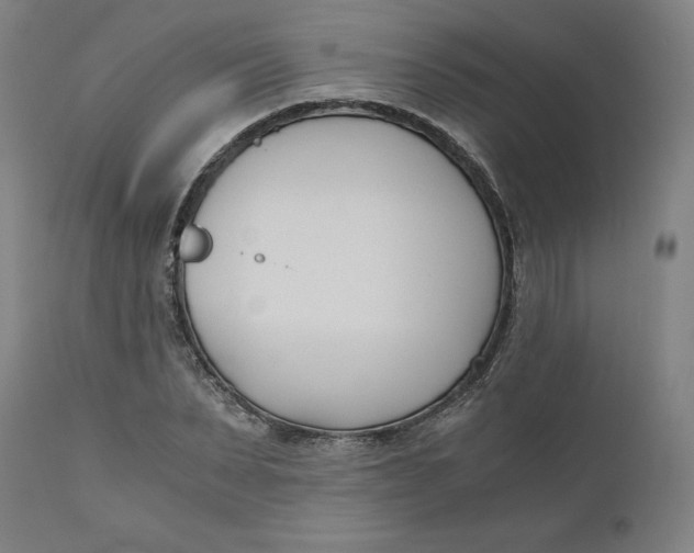 X0000110690879200907021931