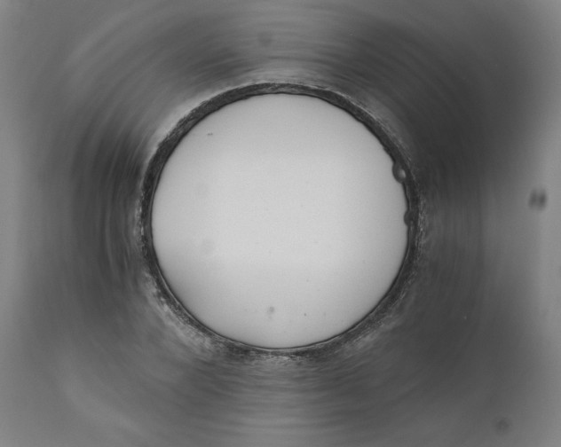 X0000110690880200907021931