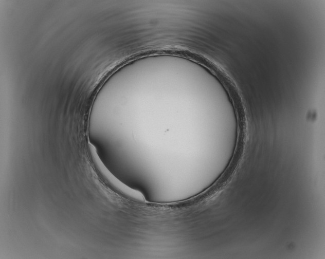 X0000110690881200907021931