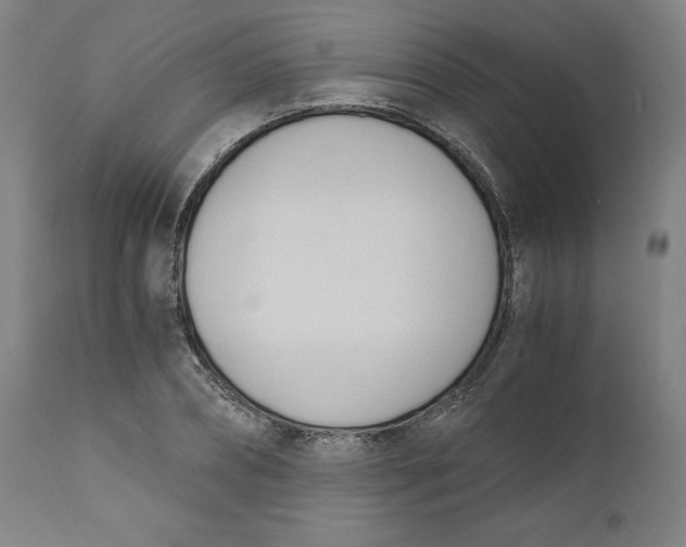 X0000110690882200907021931