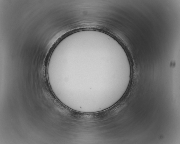 X0000110690883200907021931