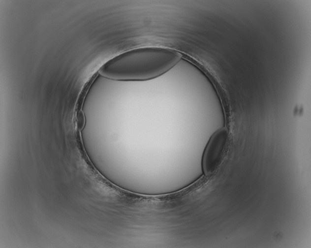 X0000110690885200907021931