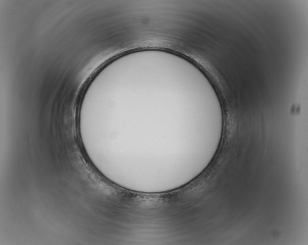 X0000110690886200907021931