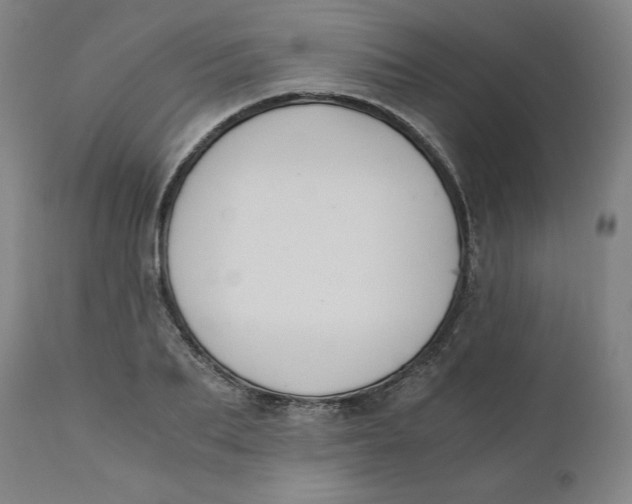 X0000110690887200907021931