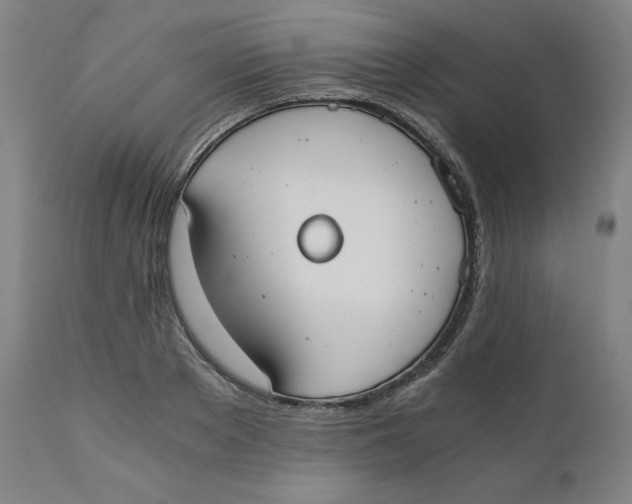 X0000110690889200907021930