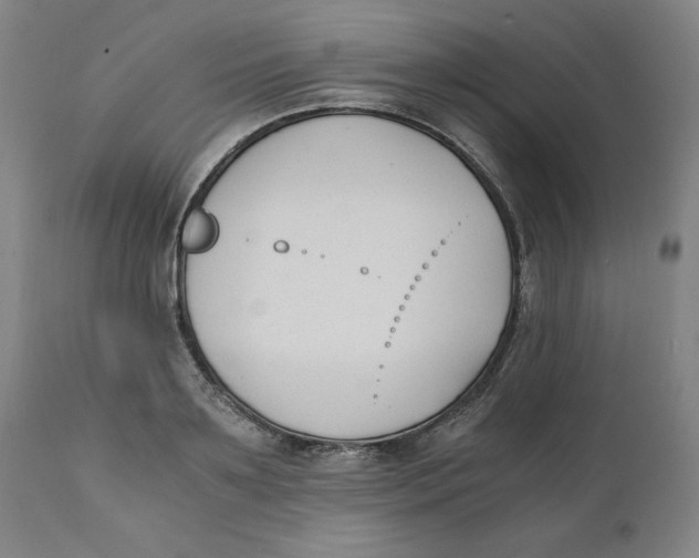 X0000110690891200907021930