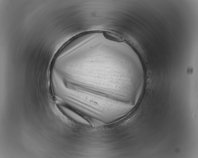 X0000110690892200907021930