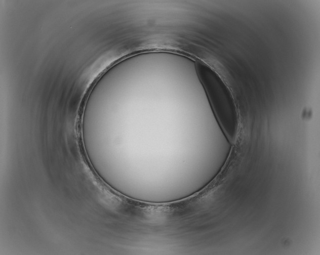 X0000110690893200907021930