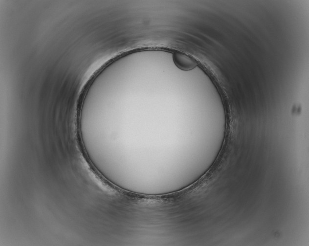 X0000110690894200907021930