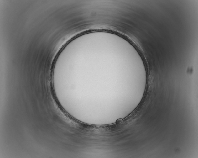 X0000110690895200907021930