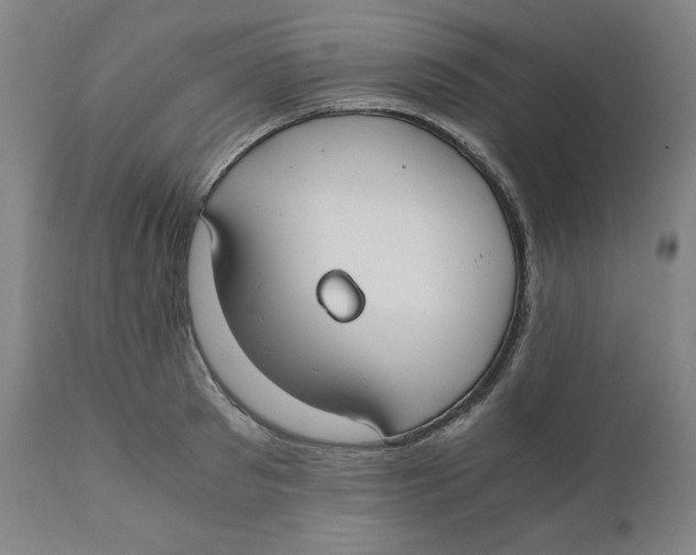 X0000110690897200907021930