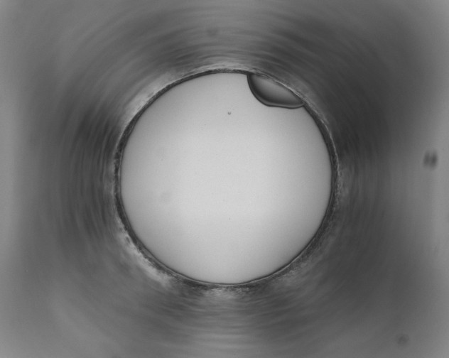 X0000110690898200907021930