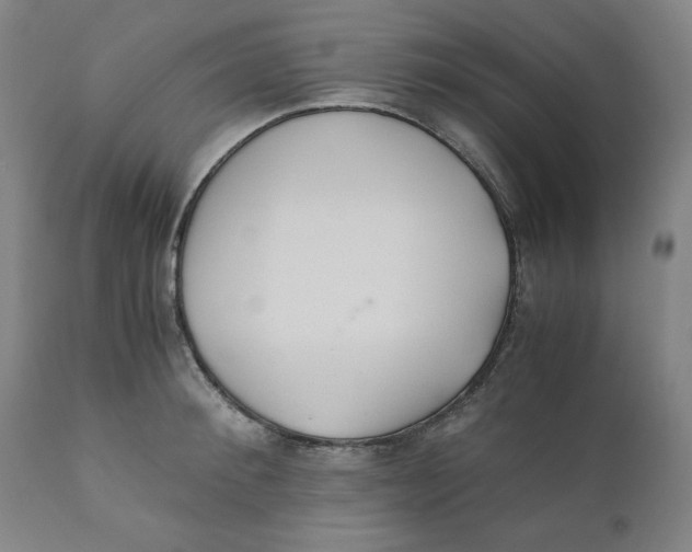 X0000110690900200907021930