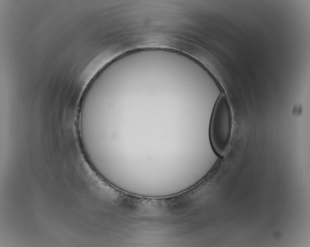 X0000110690901200907021930