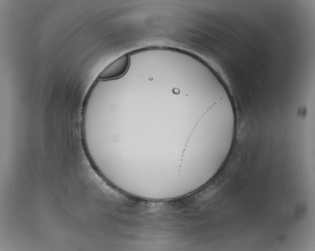 X0000110690903200907021930