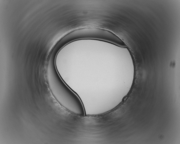 X0000110690904200907021930